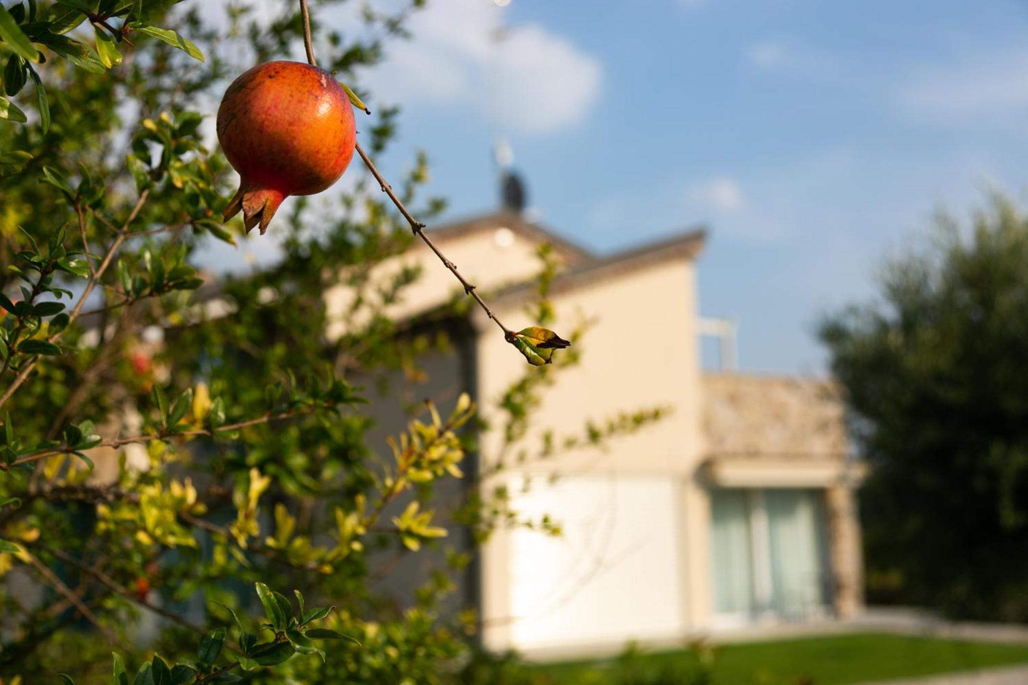 Casa Massaro Todeschini Aparthotel Abano Terme Buitenkant foto