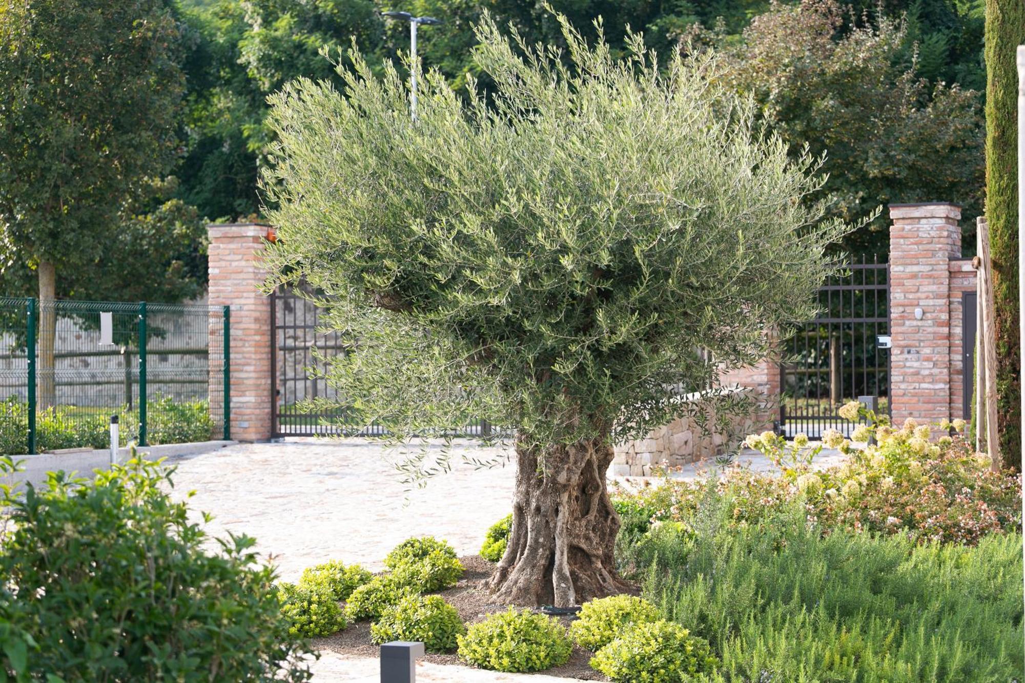 Casa Massaro Todeschini Aparthotel Abano Terme Buitenkant foto
